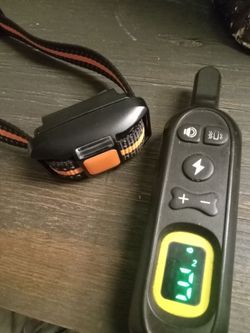 Dog trainer collar