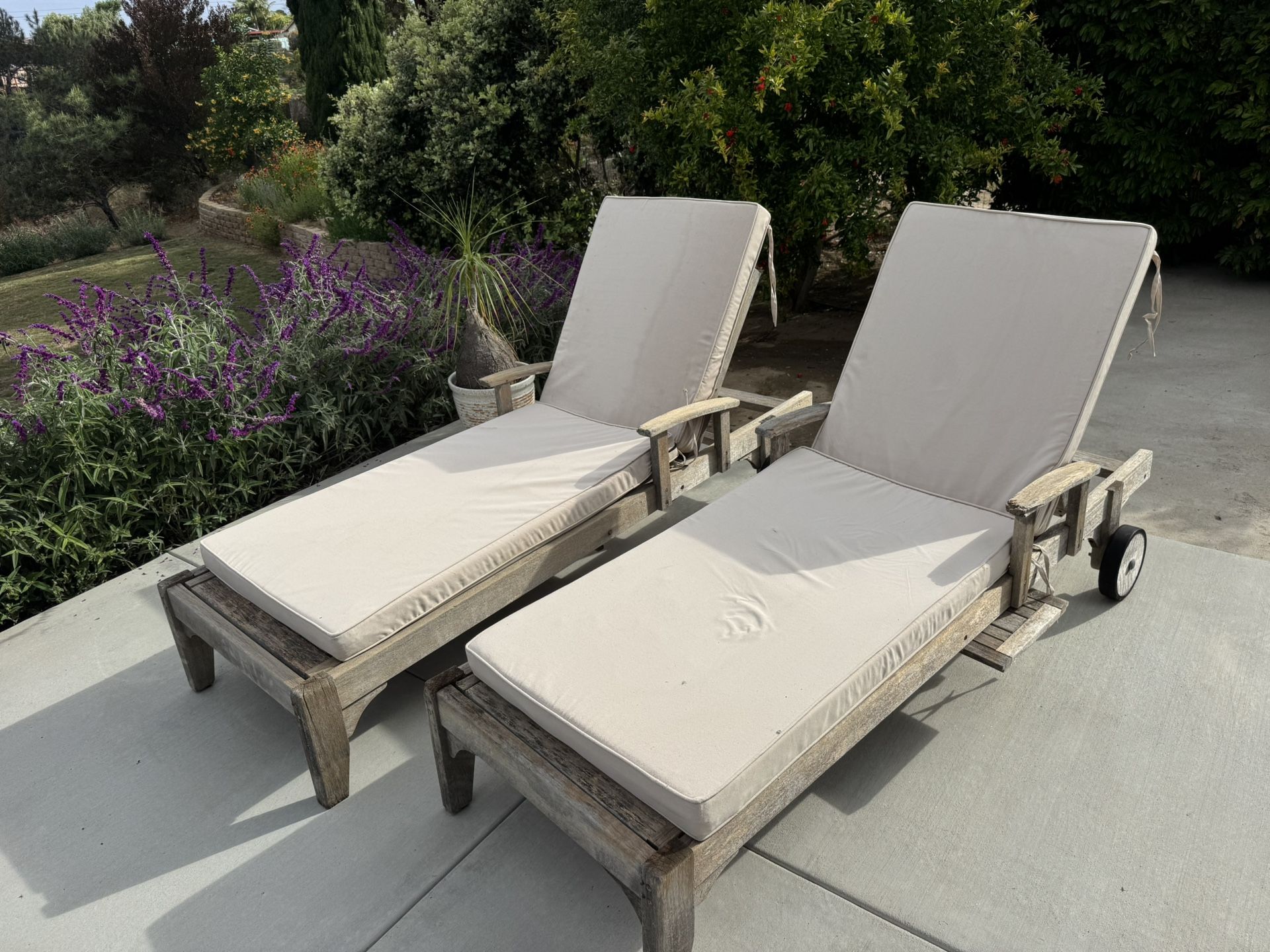 Pair of Teak Lounge Chairs With Cushion