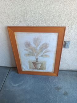 Framed Palm Tree Wall Art Print