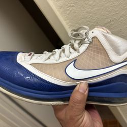 LEBRON Tennis Shoes # 12 