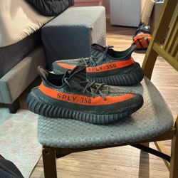 Adidas Yeezy 350 V2  Baluga Carbon