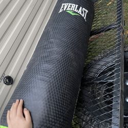 everlast punching bag 