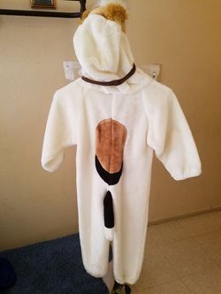 3-5 size dog costume