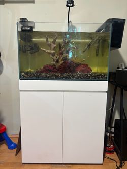 UNS Aquarium 75P