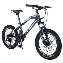 Road Bike mountain bike, 20" Wheels, steel Frame, Black/White