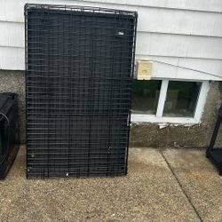 Large Dog Cage
