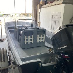 17’ Boston Whaler with 2005 Mercury four stroke 60hp