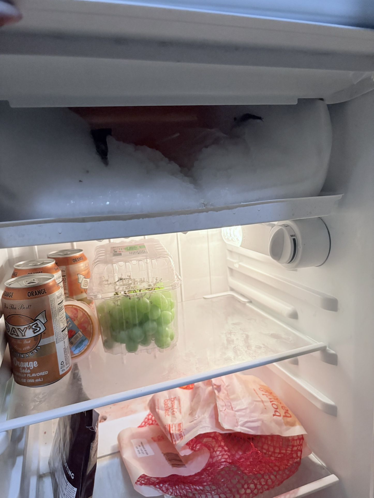 Mini Fridge