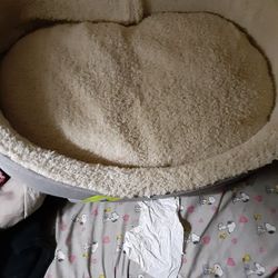 Xxlarge Dog Bed $55.00 Cash Only (Serious Buyers) Like New 