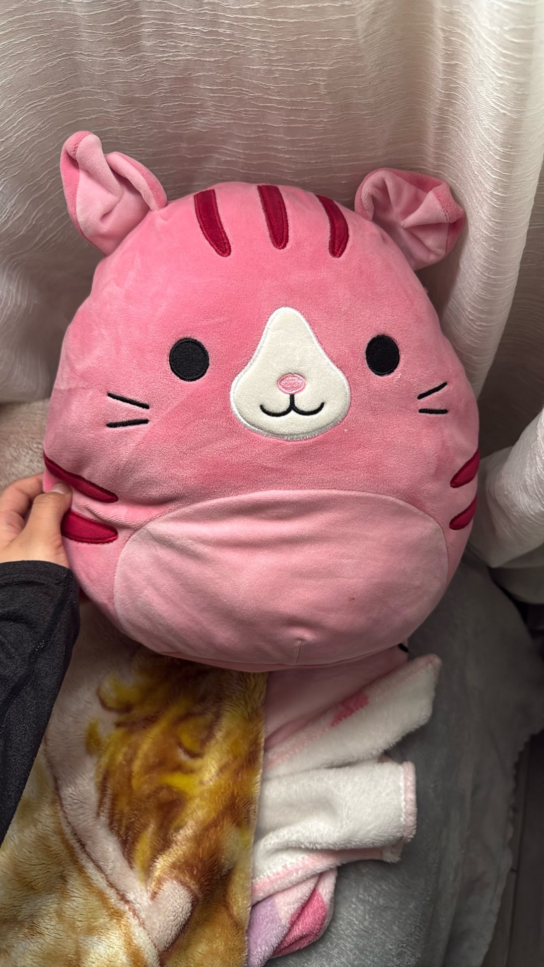 Pink Cat Plushie
