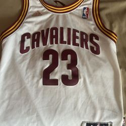 Lebron James Cleveland Cavaliers 
