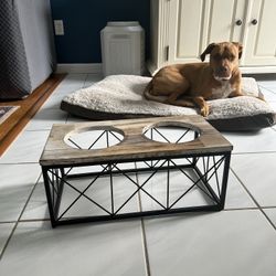 Elevated Dog Bowl Feeder 