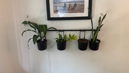 Hanging Planter wall mounted w/ plants and grow lights