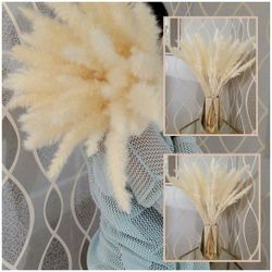 Now AVAILABLE - 30 Stems Bleach White Tabletop Pampas Grass | Dried Flower Arrangements