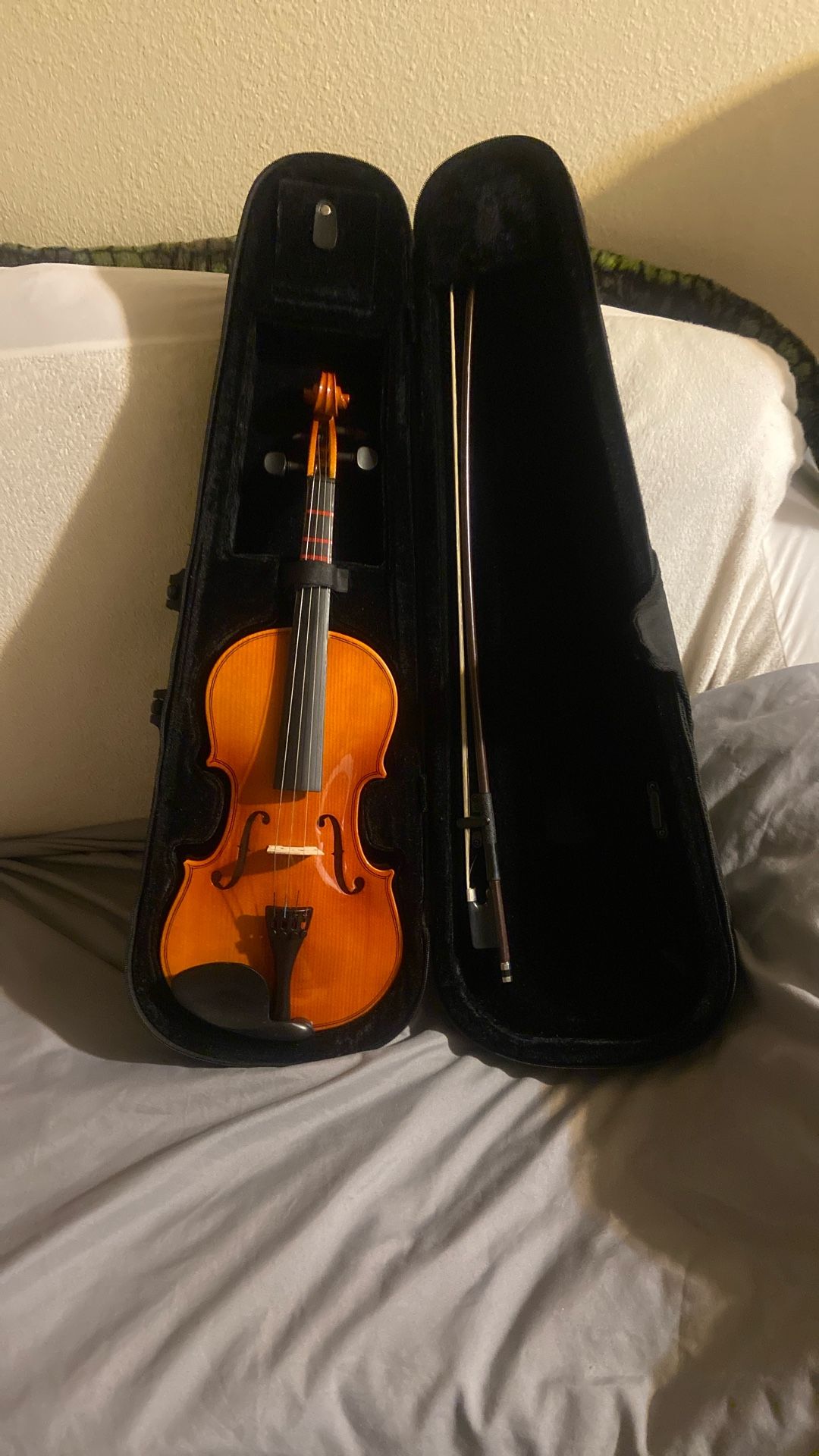 Violin