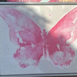 Beautiful Butterfly Art Frame