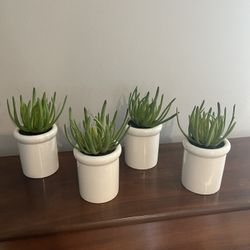 Faux Potted Plants