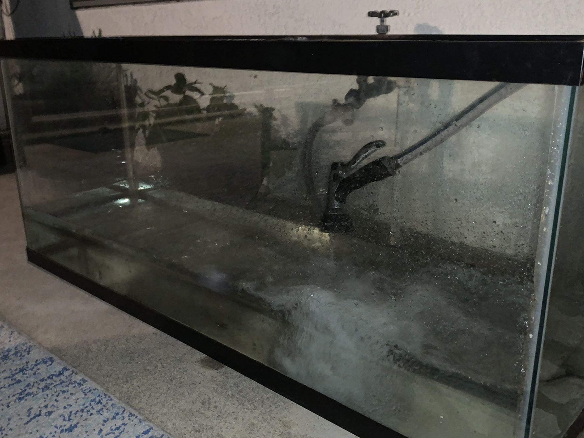 55 Gallon Aquarium Fish Tank Reptile Enclosure with Canister Filter
