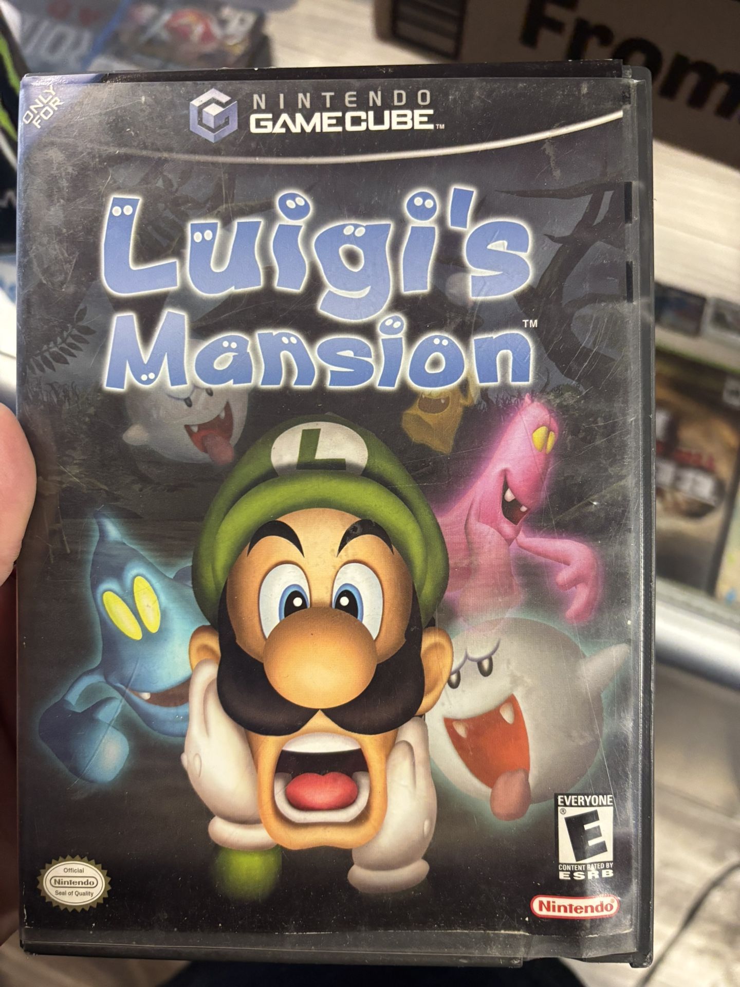 Luigi’s Mansion