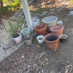 Pots And Plants 