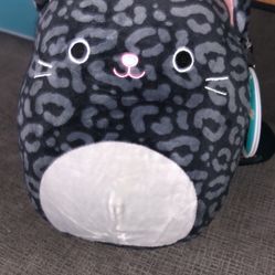 Squishmallow