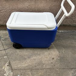 Cooler