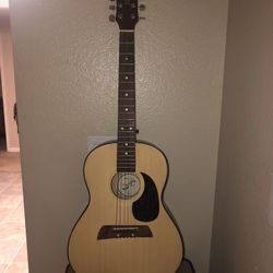 Guitar & Case
