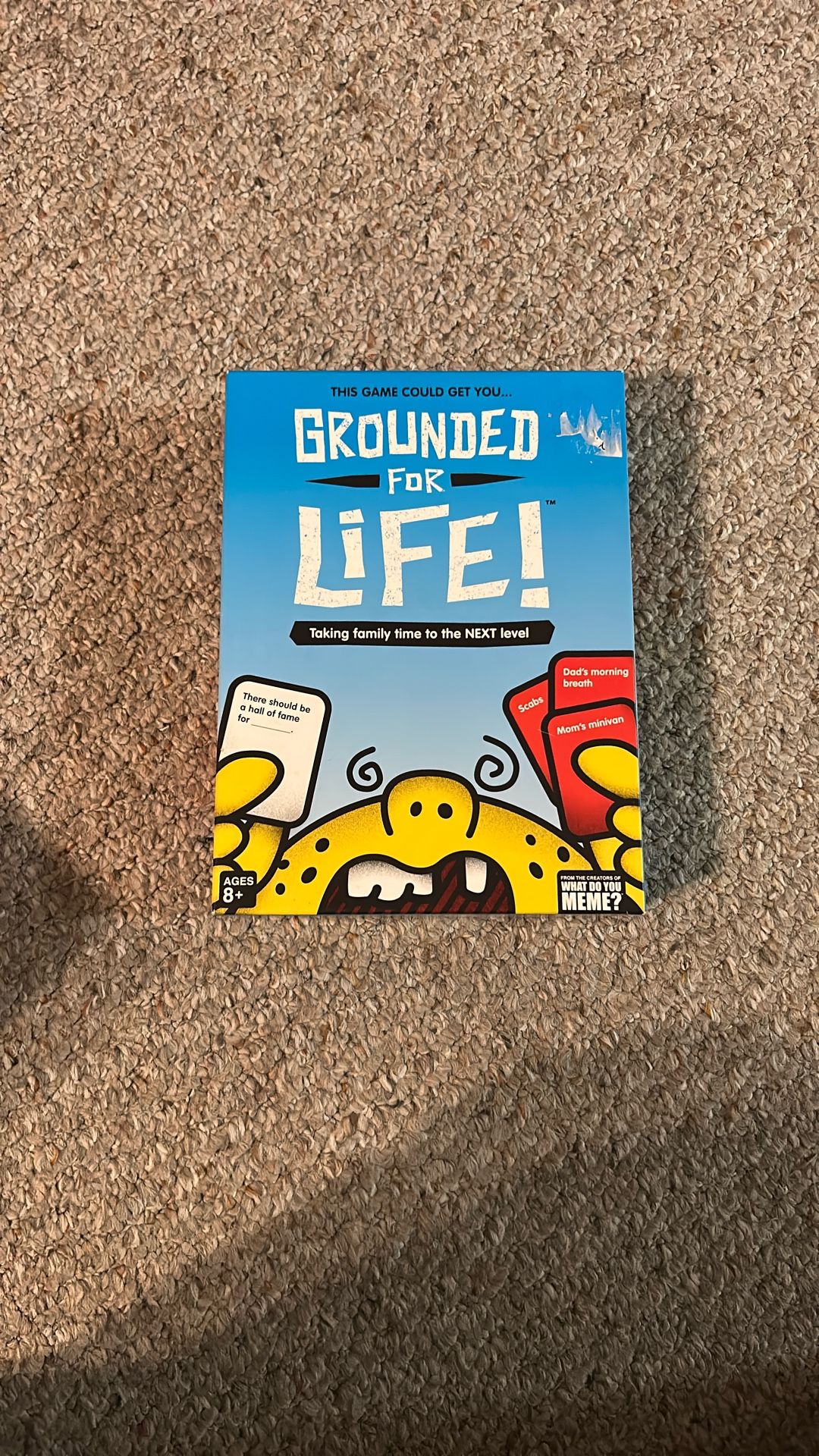Grounded For Life Board Game
