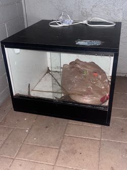 Reptile tank