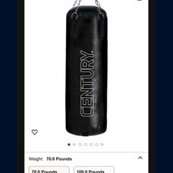 Punching Bag 