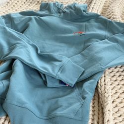 CHAMPION powerblend graphic pullover hoodie