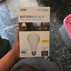 Battery Backup Light Bulb