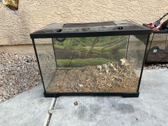 20-Gallon Glass Reptile Terrarium with Screen Lid – $20