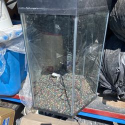 20 Gallon Aquarium 