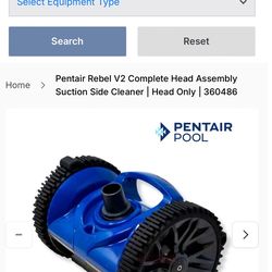 Pool cleaner