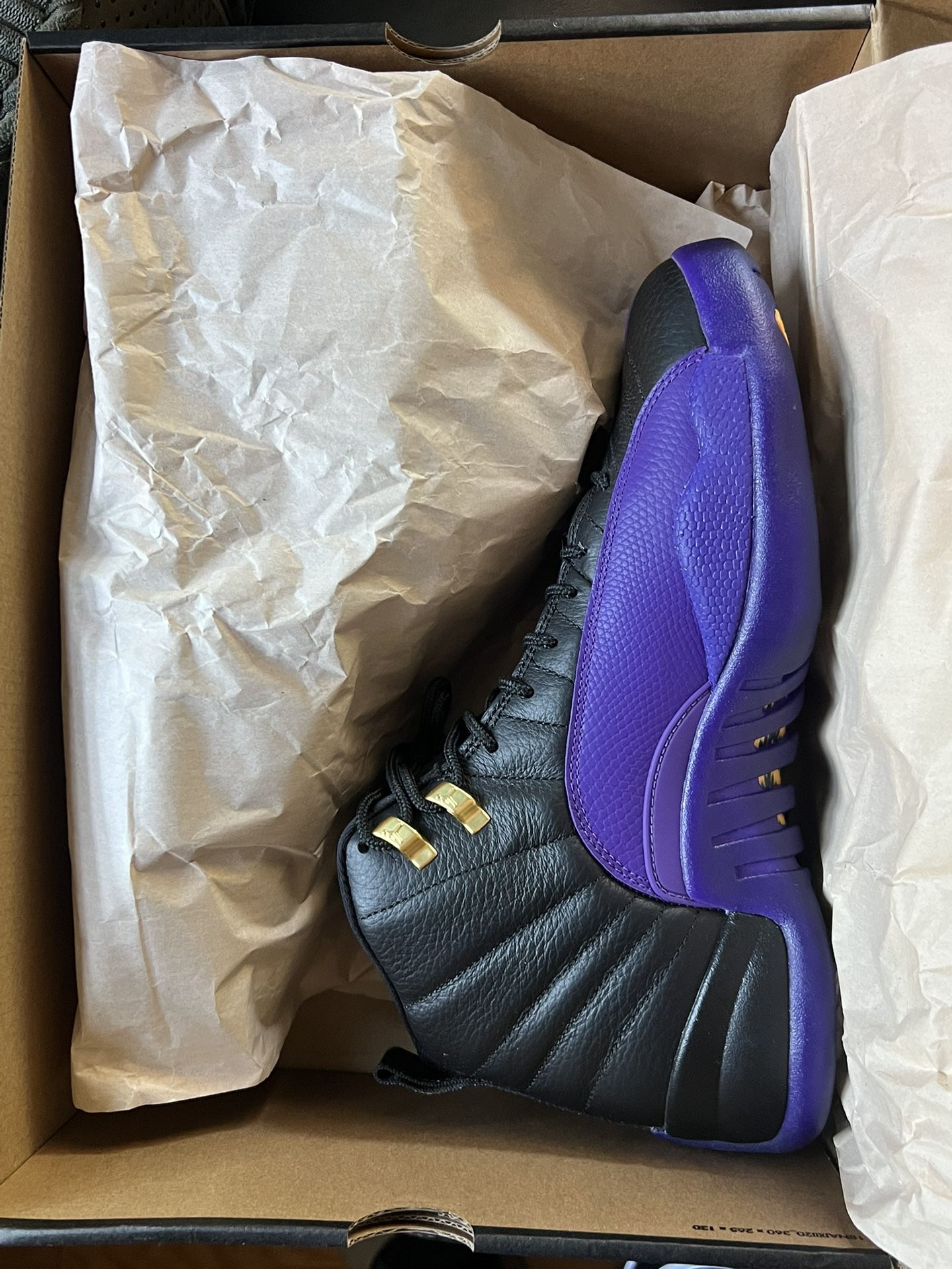 Jordan 12 Court Purple