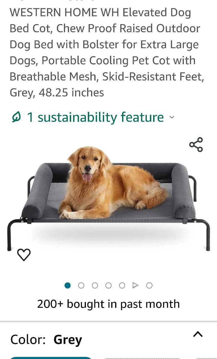 Elevate Dog Bed 