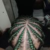 Jaylouie