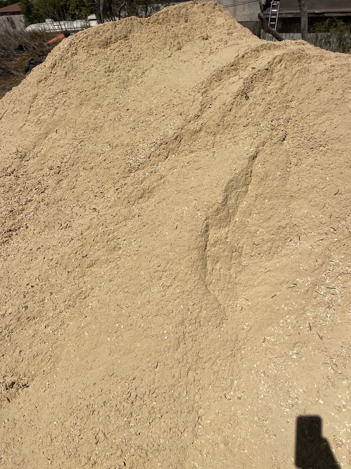 Sawdust 