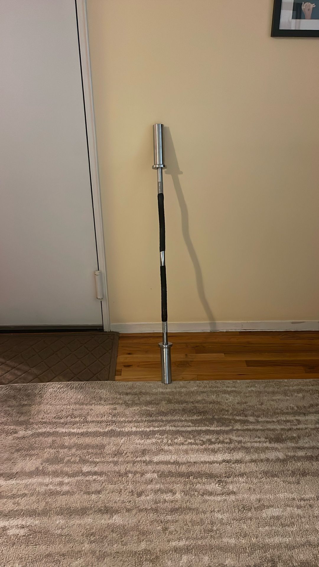 Ez Arm Curl Bar