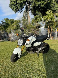 2025 Honda grom