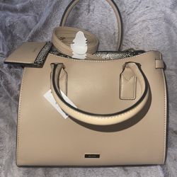 Aldo Purse