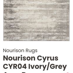 Ivory Gray Area Rug 5.3”x7.3” Made In Turkey