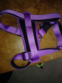New 2 harness- and a cute new collar. Pink ones are a small and purple is a small to medium.