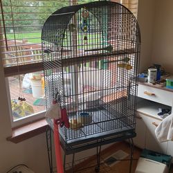 Bird Cage