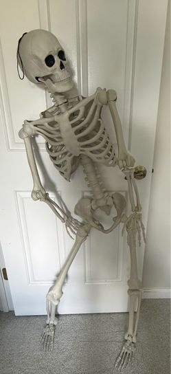 Halloween Skeleton Decoration