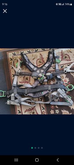 Harness