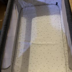 Never Used Bassist