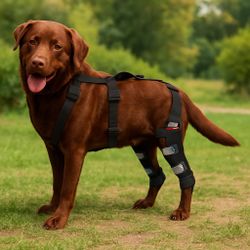 NeoAlly Dog Leg Braces – Size M (New, Never Used)