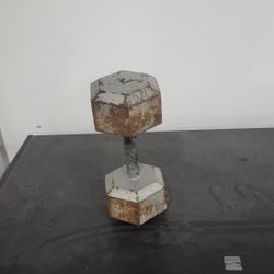 $35 Lb Dumbbell 